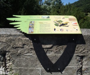 Signalétique touristique - Table de lecture - Sentier des oiseaux - Fabrication PIC BOIS