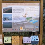 Mobilier interactif – Terre et mer
