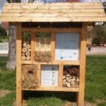 Hôtel à insectes – Insectes locaux