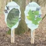 Plaque thématique – Forme de feuilles
