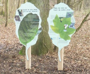 Signalétique touristique - Plaque thématique - forme de feuilles - Fabrication PIC BOIS