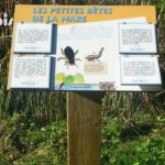 Mobilier interactif – Faune de la mare
