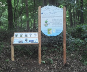 Signalétique touristique - Panneau d'information - Noms arbres - Fabrication PIC BOIS