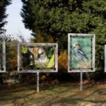 Bâche – Exposition temporaire