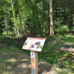 Table de lecture – Milieu forestier