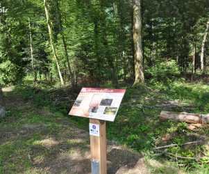 Signalétique touristique - Table de lecture - Milieu forestier - Fabrication PIC BOIS