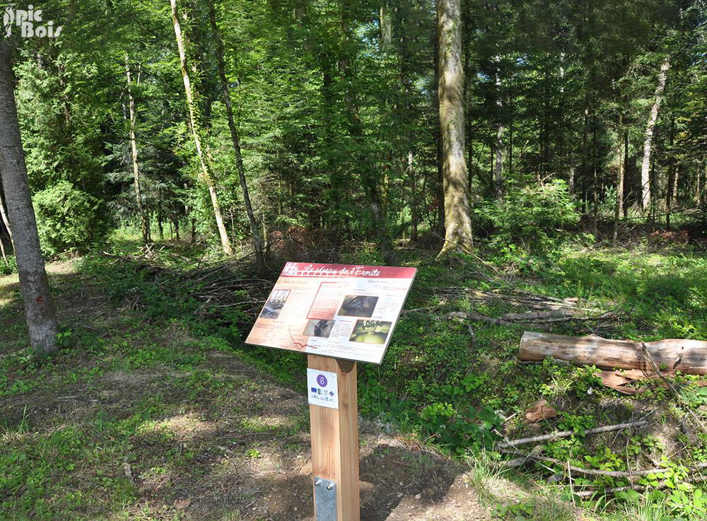 Signalétique touristique - Table de lecture - Milieu forestier - Fabrication PIC BOIS