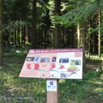 Table de lecture – Monde souterrain