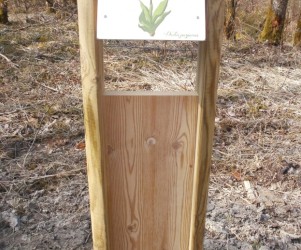 Signalétique touristique - Mobilier interactif - L'orchis pourpre - Fabrication PIC BOIS