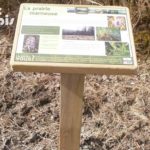 Table de lecture – La prairie marneuse