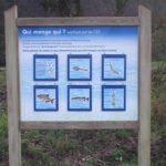 Mobilier interactif – Qui mange qui