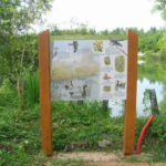 Panneau d’information – Faune étang
