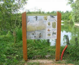 Signalétique touristique - Panneau d'information - Faune étang - Fabrication PIC BOIS