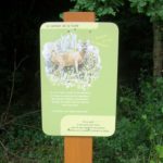 Plaque thématique – Sentier de la forêt