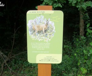 Signalétique touristique - Plaque thématique - Sentier de la forêt - Fabrication PIC BOIS
