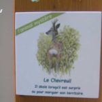 Plaque thématique – L’animal mystère