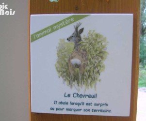 Signalétique touristique - Plaque thématique - L'animal mystère - Fabrication PIC BOIS