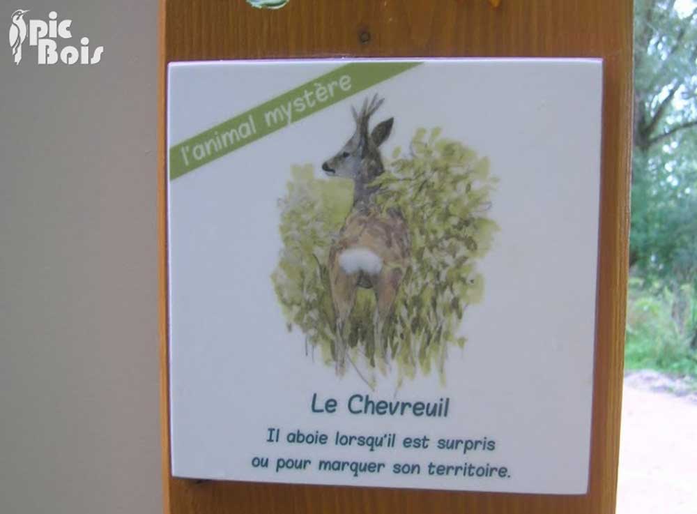 Signalétique touristique - Plaque thématique - L'animal mystère - Fabrication PIC BOIS