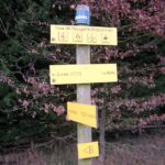Directionnel sentier – FFRandonnée