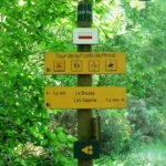 Directionnel sentier – Divers usagers