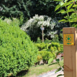 Balisage – Sentier de découverte