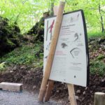 Mobilier interactif – Les migrations