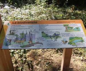 77-saint-fargeau-ponthierry-tables-de-lecture-station-decouverte.jpg Signalétique touristique - Table de lecture - Biodiversité - Fabrication PIC BOIS