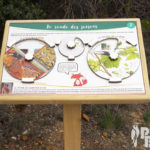 Mobilier interactif – Ronde des saisons
