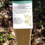 Plaque arboretum – Circuit pédagogique