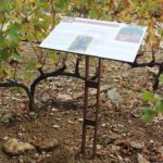 Table de lecture – Le vignoble