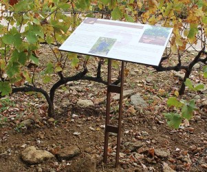 Signalétique touristique - Table de lecture - Le vignoble - Fabrication PIC BOIS
