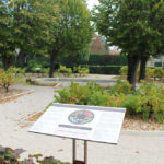Table de lecture – Découverte vignoble