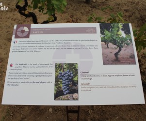 Signalétique touristique - Table de lecture - Sol de vignoble - Fabrication PIC BOIS