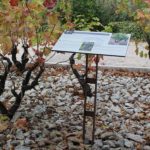 Table de lecture – Les sols du vignoble