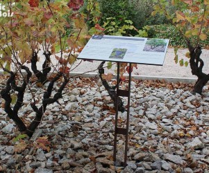 Signalétique touristique - Table de lecture - Les sols du vignoble - Fabrication PIC BOIS