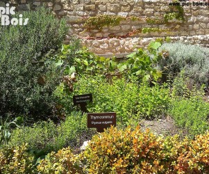 Signalétique touristique - Plaque arboretum - Piquet botanique - Fabrication PIC BOIS