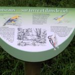 Table de lecture – Découverte oiseaux