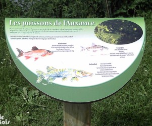 Signalétique touristique - Table de lecture - Découverte poissons - Fabrication PIC BOIS