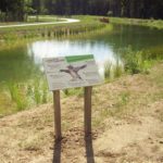 Table de lecture – Faune locale