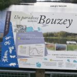 Table de lecture – Ecosystème du lac