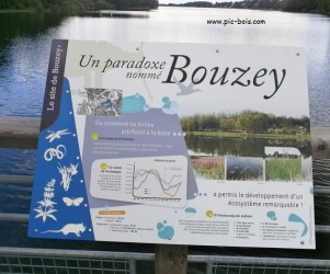 Signalétique touristique - Table de lecture - Ecosystème du lac - Fabrication PIC BOIS
