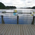 Table de lecture – Espèces du lac