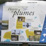 Table de lecture – Les oiseaux du lac