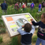 Mobilier interactif – Zones humides