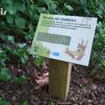 Parcours sensoriel – Les écureuils