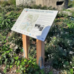Table de lecture – Chemins de mémoire