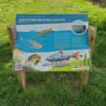 Table de lecture – Poissons d’eau douce