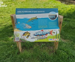 Signalétique touristique - Table de lecture - Poissons d'eau douce - Fabrication PIC BOIS