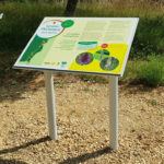Table de lecture – Sentier floristique