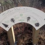 Table d’orientation – Flore et panorama